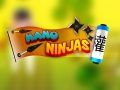 Gra Nano Ninja w Internecie
