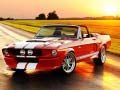 Gra Różnice w Eleganckim Mustang w Internecie