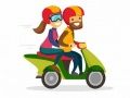 Gra Motocykle Znajdź Różnice w Internecie