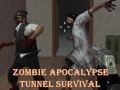 Gra Przetrwanie w tunelu apokalipsy zombie w Internecie