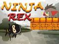 Gra Ninja Rex w Internecie