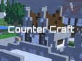 Gra Kontr Craft w Internecie