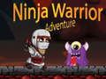Gra Przygoda Wojownika Ninja w Internecie