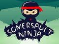Gra Ninja Salto w Internecie