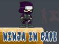 Gra Ninja w Pelerynie w Internecie