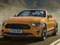 Gra Ford Mustang California Special Slide w Internecie