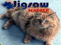 Gra Mistrz Puzzli w Internecie