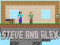 Gra Steve i Alex w Internecie