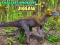 Gra Puzzle najmniejszych dinozaurów w Internecie
