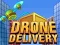 Gra Dostawa Dronem w Internecie
