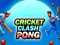 Gra Krykietowy Pojedynek Pong w Internecie