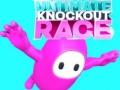 Gra Ostateczny Wyścig Knockout w Internecie