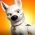 Wolt Wolt online