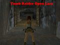 Gra Tomb Raider: Otwarta Lara w Internecie