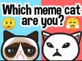 Gra Jakim memowym kotem jesteś? w Internecie
