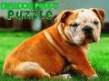 Gra Puzzle z szczeniakiem buldoga w Internecie