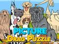 Gra Puzzle Przeciągnij Obraz w Internecie