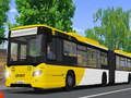 Gra Symulator Transportu Publicznego 2021 w Internecie
