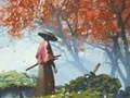 Gra Refleksja Samurai w Internecie