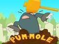 Gra Pum-Mole w Internecie