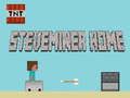 Gra Steveminer Dom w Internecie