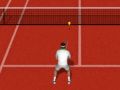Gra Prawdziwy Tenis w Internecie