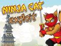 Gra Ninja Kot Eksploit w Internecie