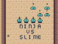 Gra Ninja kontra Slime w Internecie