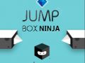 Gra Ninja Skacząca Pudełko w Internecie