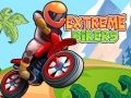 Gra Ekstremalni Motocykliści w Internecie