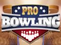 Gra Profesjonalne Bowling w Internecie Gra Profesjonalne Bowling w Internecie