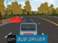 Gra Kierowca autobusu miejskiego w Internecie