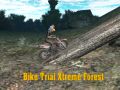 Gra Trial Rowerowy Xtreme Las w Internecie