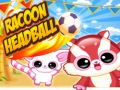 Gra Głowa Raccoona w Internecie