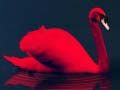 Gra Puzzle Zakochanych Ptaków w Internecie