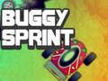 Gra Wyścig Buggy w Internecie
