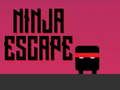 Gra Ucieczka Ninja w Internecie
