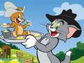 Gra Tom i Jerry Zjeżdżalnia w Internecie