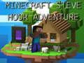 Gra Przygoda Steve'a z Hakiem Minecrafta w Internecie
