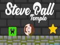 Gra Świątynia Steve'a Balla w Internecie