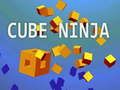 Gra Ninja Sześcian w Internecie
