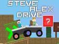 Gra Steve Alex Jazda w Internecie