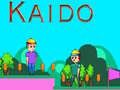 Gra Kaido w Internecie