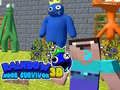 Gra Tęczowy Noob Survivor 3D w Internecie