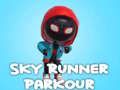 Gra Sky Runner Parkour w Internecie