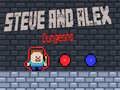 Gra Lochy Steve’a i Alexa w Internecie