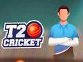 Gra Krykiet T20 w Internecie