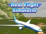 Gra Rzeczywisty Symulator Lotu w Internecie