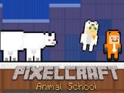 Gra PixelCraft Szkoła Zwierząt w Internecie