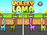 Gra Volley Lama w Internecie
